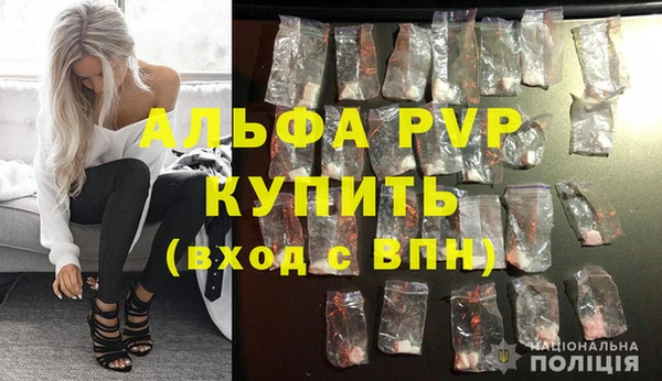 сатива Нягань