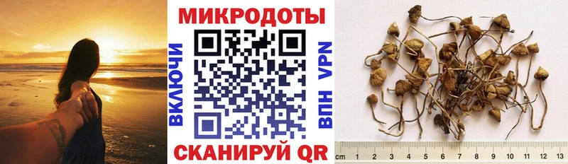 Галлюциногенные грибы Magic Shrooms  блэк спрут как зайти  Ирбит 