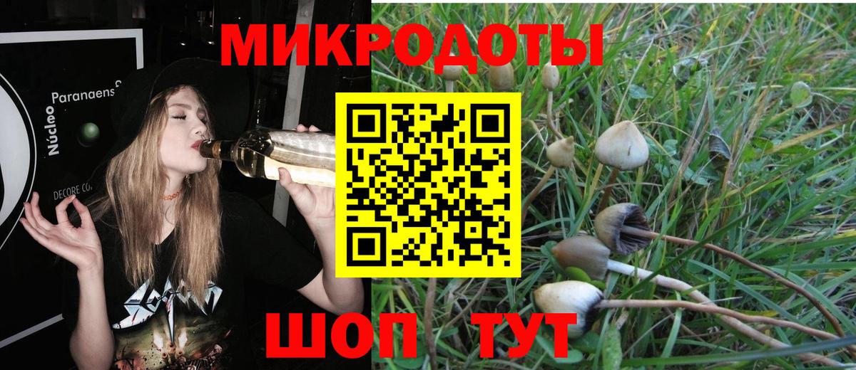 Галлюциногенные грибы Psilocybine cubensis Ирбит