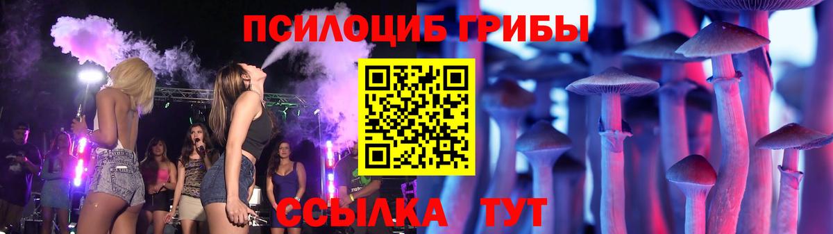 Галлюциногенные грибы Magic Shrooms  Галлюциногенные грибы Psilocybine cubensis  Ирбит 