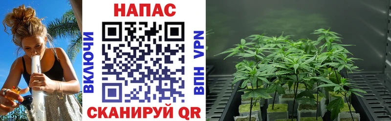 Бошки марихуана гибрид  Ирбит 