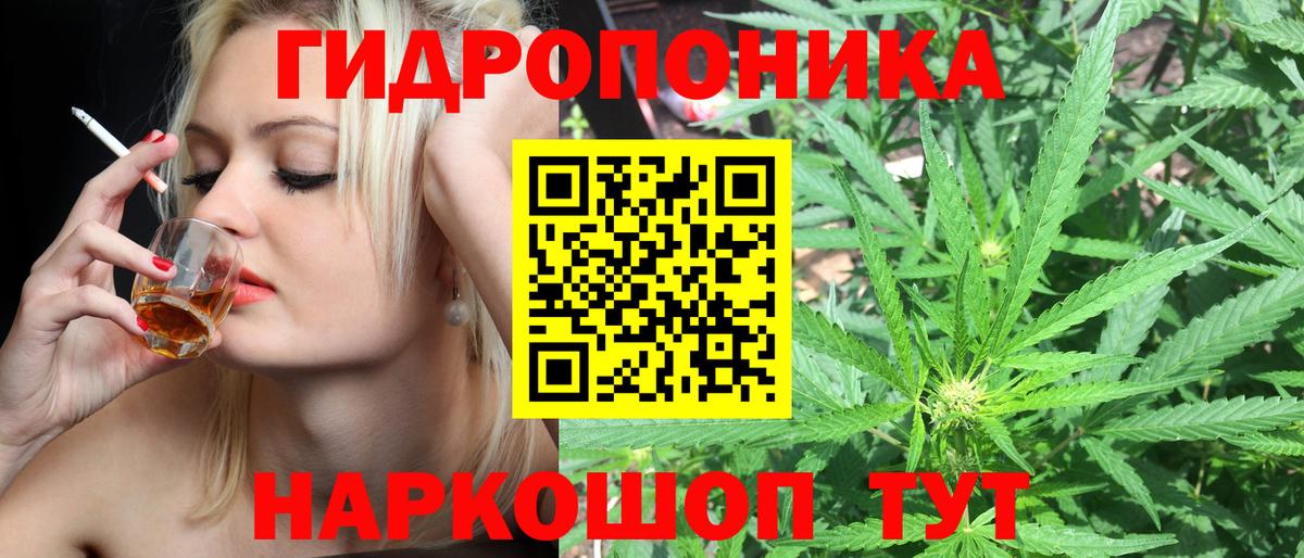 Ирбит  Шишки марихуана гибрид  Вход с VPN  Шишки марихуана White Widow  Бошки Шишки планчик 